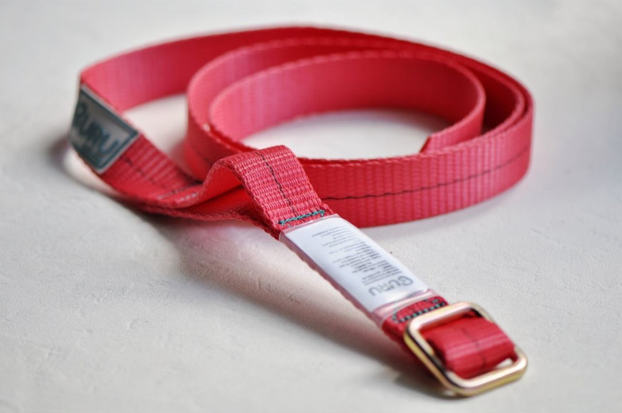 Петля станционная регулируемая Guru 170 см, GURU